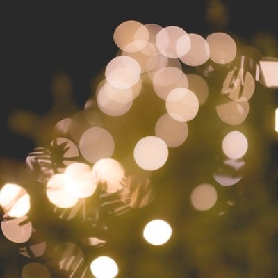 クリスマスツリーと装飾の光の写真