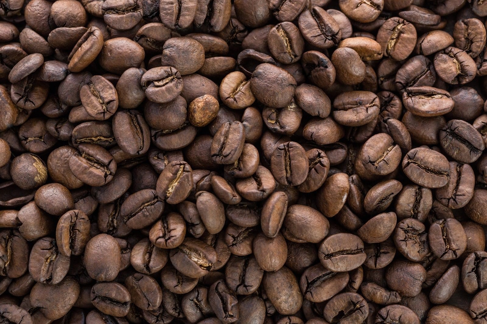 「敷き詰められたコーヒー豆」の写真