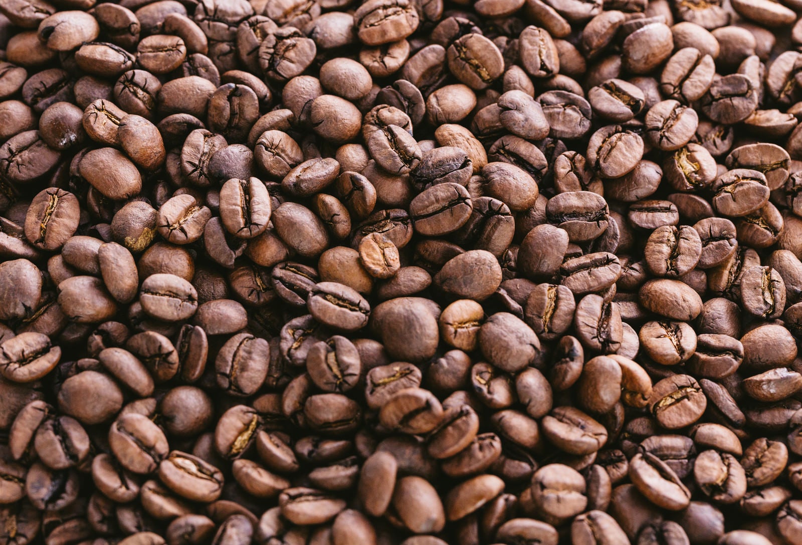「敷き詰めたコーヒー豆」の写真