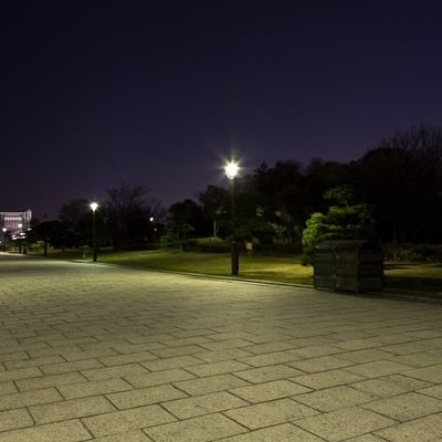 夜の葛西臨海公園の展望広場までの写真