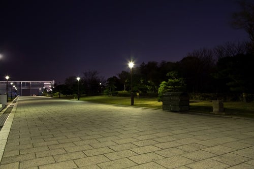 夜の葛西臨海公園の展望広場までの写真