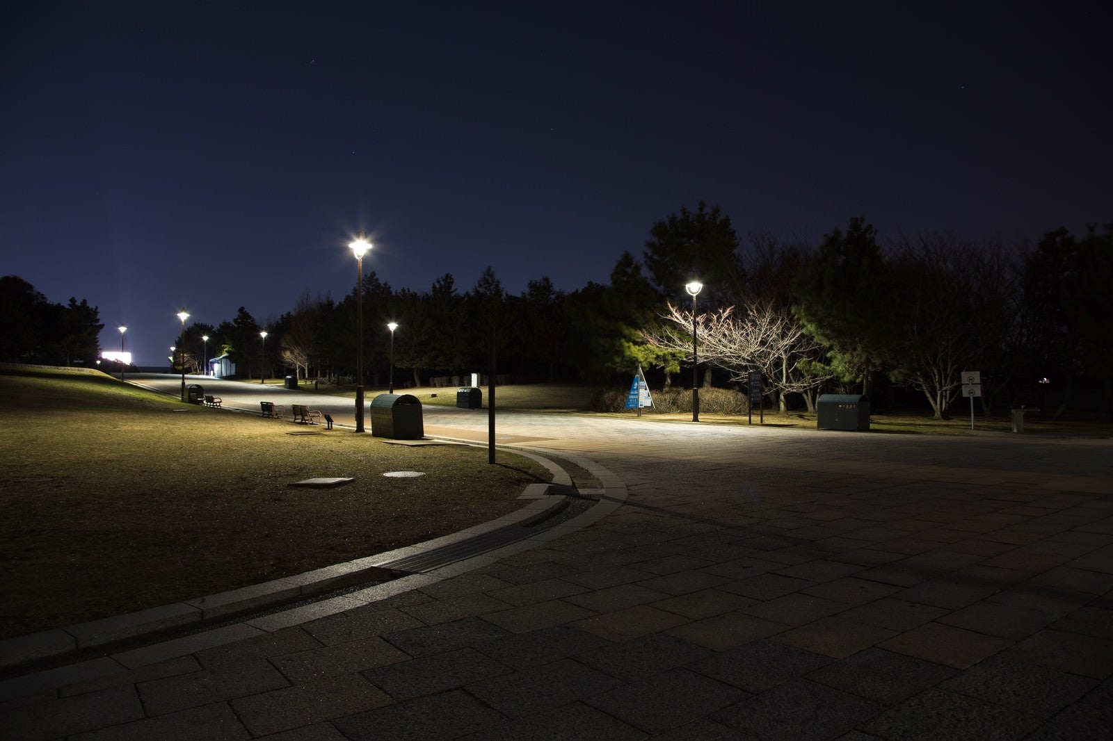 「深夜の葛西臨海公園」の写真