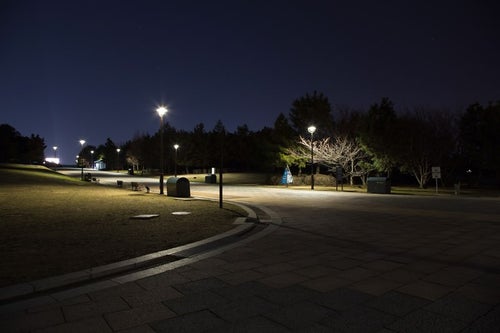 深夜の葛西臨海公園の写真
