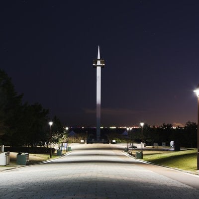 夜の葛西臨海公園と遊歩道の写真