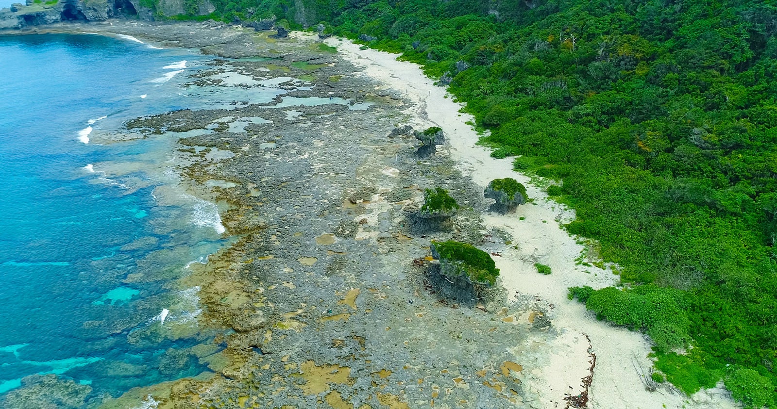 「犬の門蓋の奇岩と徳之島の青い海（空撮）」の写真