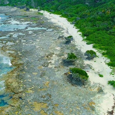 犬の門蓋の奇岩と徳之島の青い海（空撮）の写真