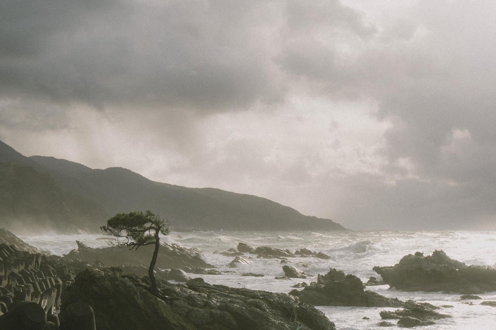 「松の木が生える岩場と荒れる日本海」の写真