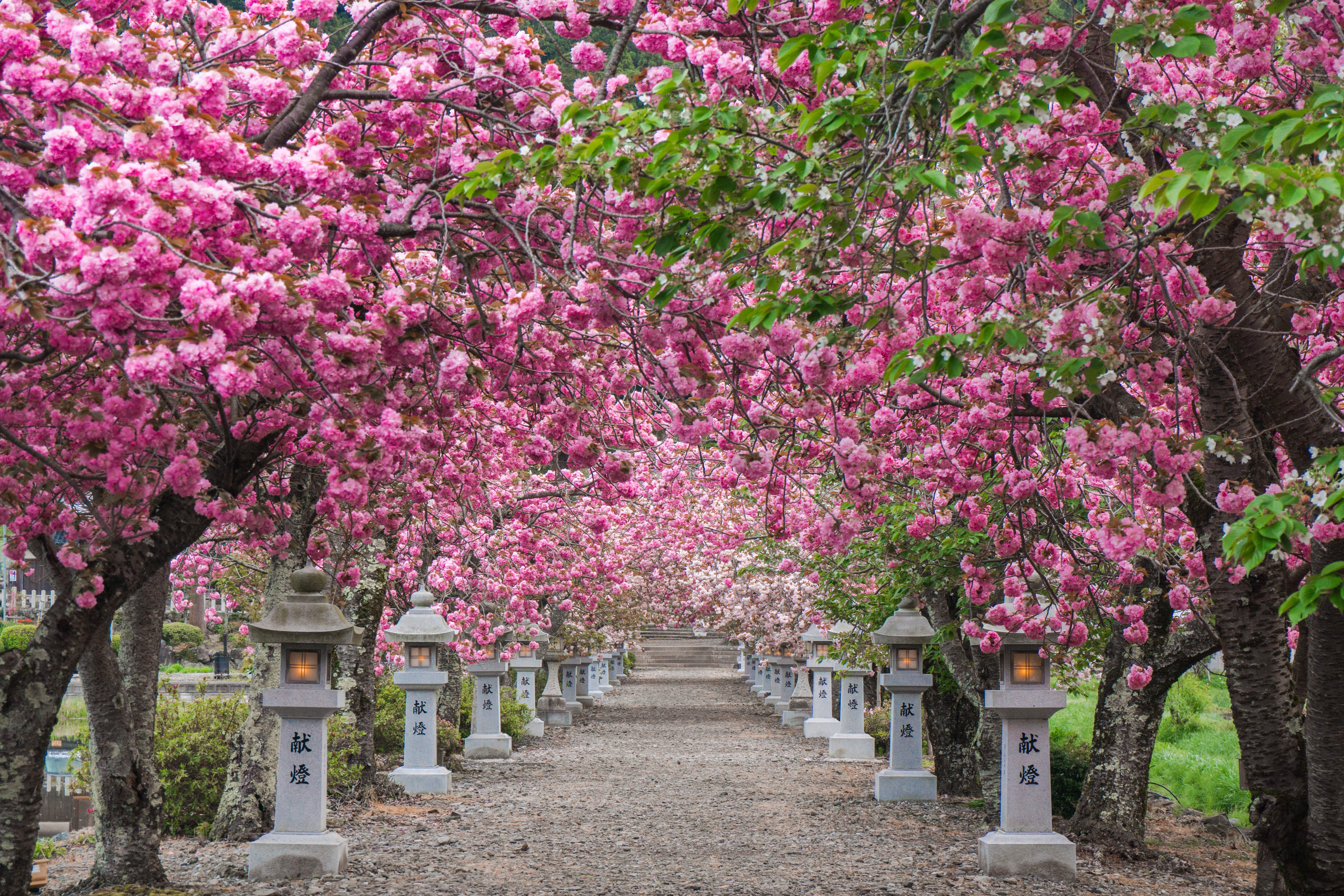 DSC05996-zubotty.jpg?&download=1