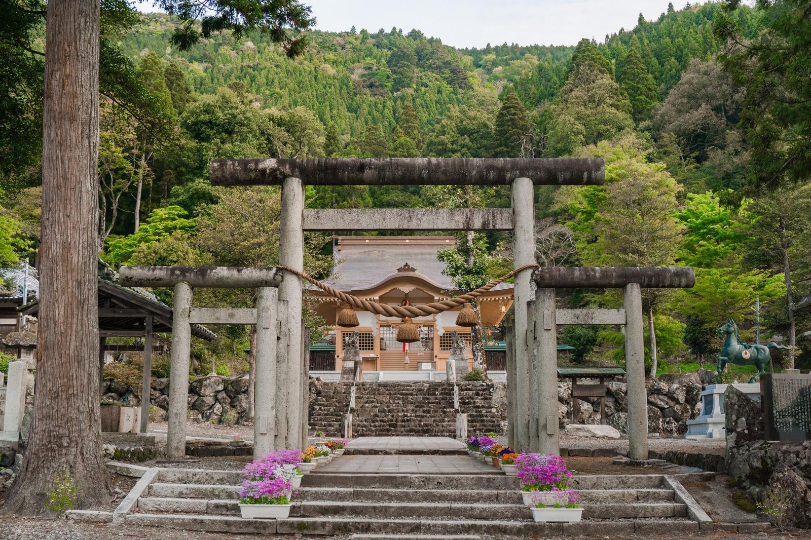 「日本でも唯一無二の伊香式鳥居と奥に見える伊香具神社本殿」の写真