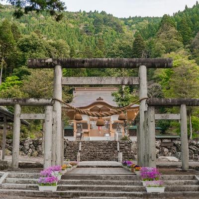 日本でも唯一無二の伊香式鳥居と奥に見える伊香具神社本殿の写真