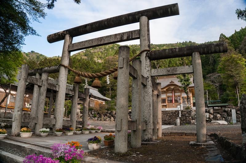 大神神社の三輪式鳥居と厳島神社の厳島式の鳥居が合わさった珍しい伊香式鳥居の姿の写真