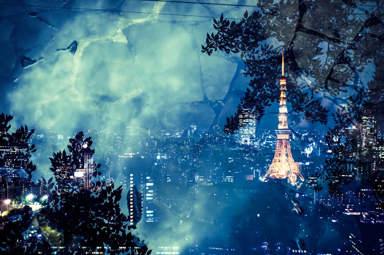 「石畳と東京タワー(夜景)」の写真