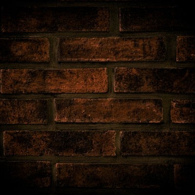 薄暗いレンガの壁の写真