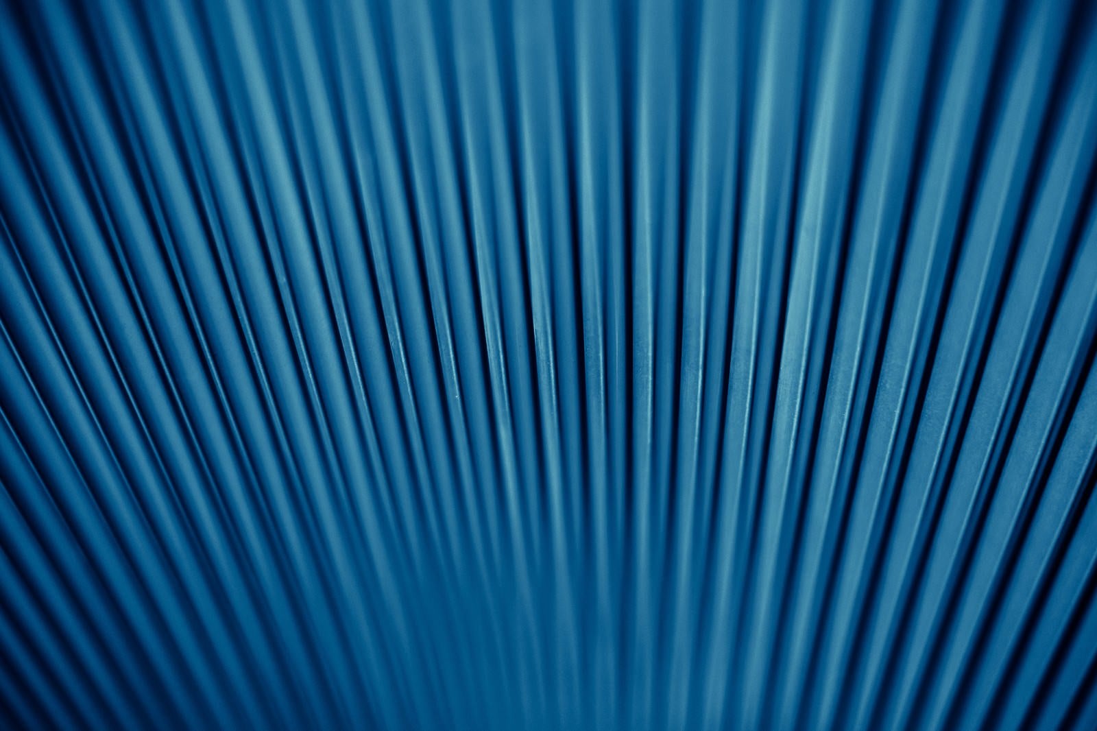 「青いトタンの壁」の写真