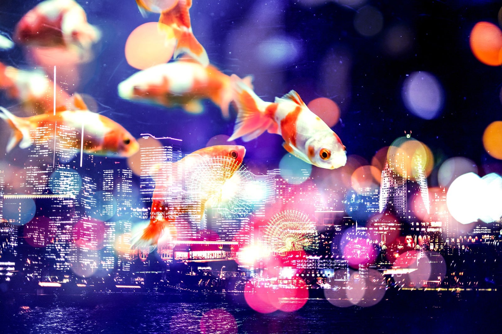 「夜空を優雅に泳ぐ金魚（フォトモンタージュ）」の写真