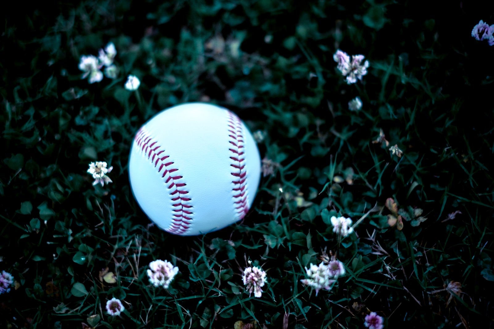 「足元に転がる野球のボール」の写真