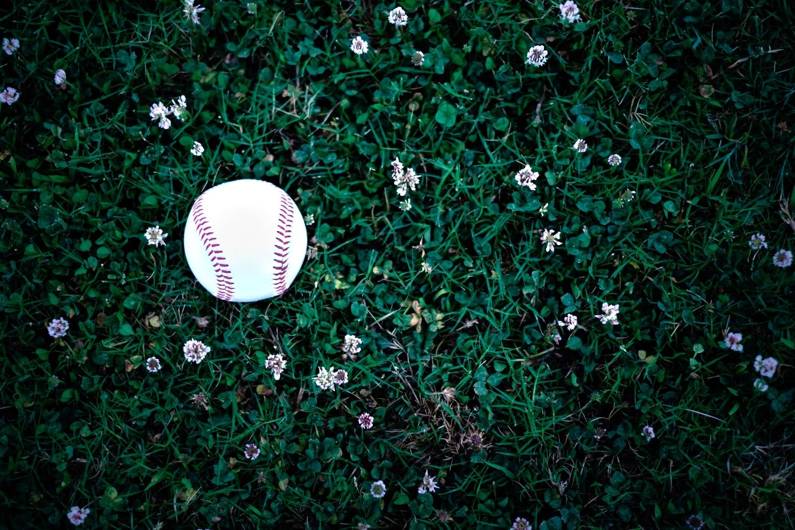 「野原に転が野球のボール」の写真
