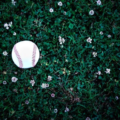 野原に転が野球のボールの写真
