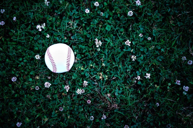 野原に転が野球のボールの写真