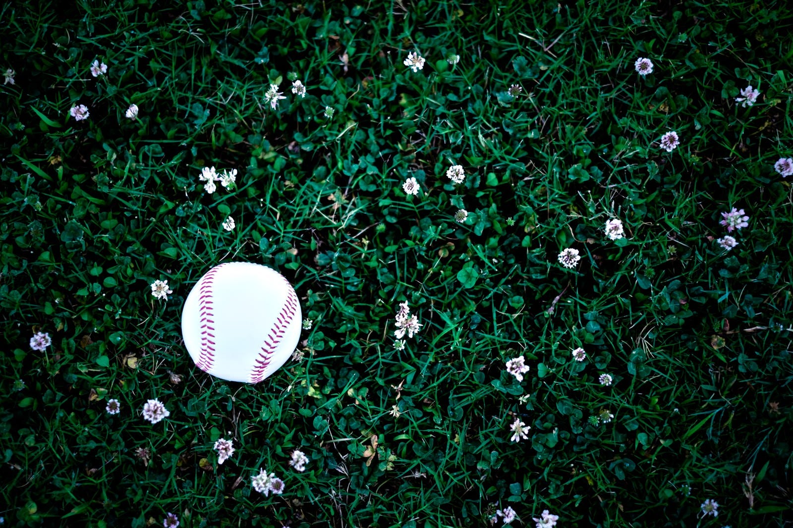 「片付け忘れた野球のボール」の写真