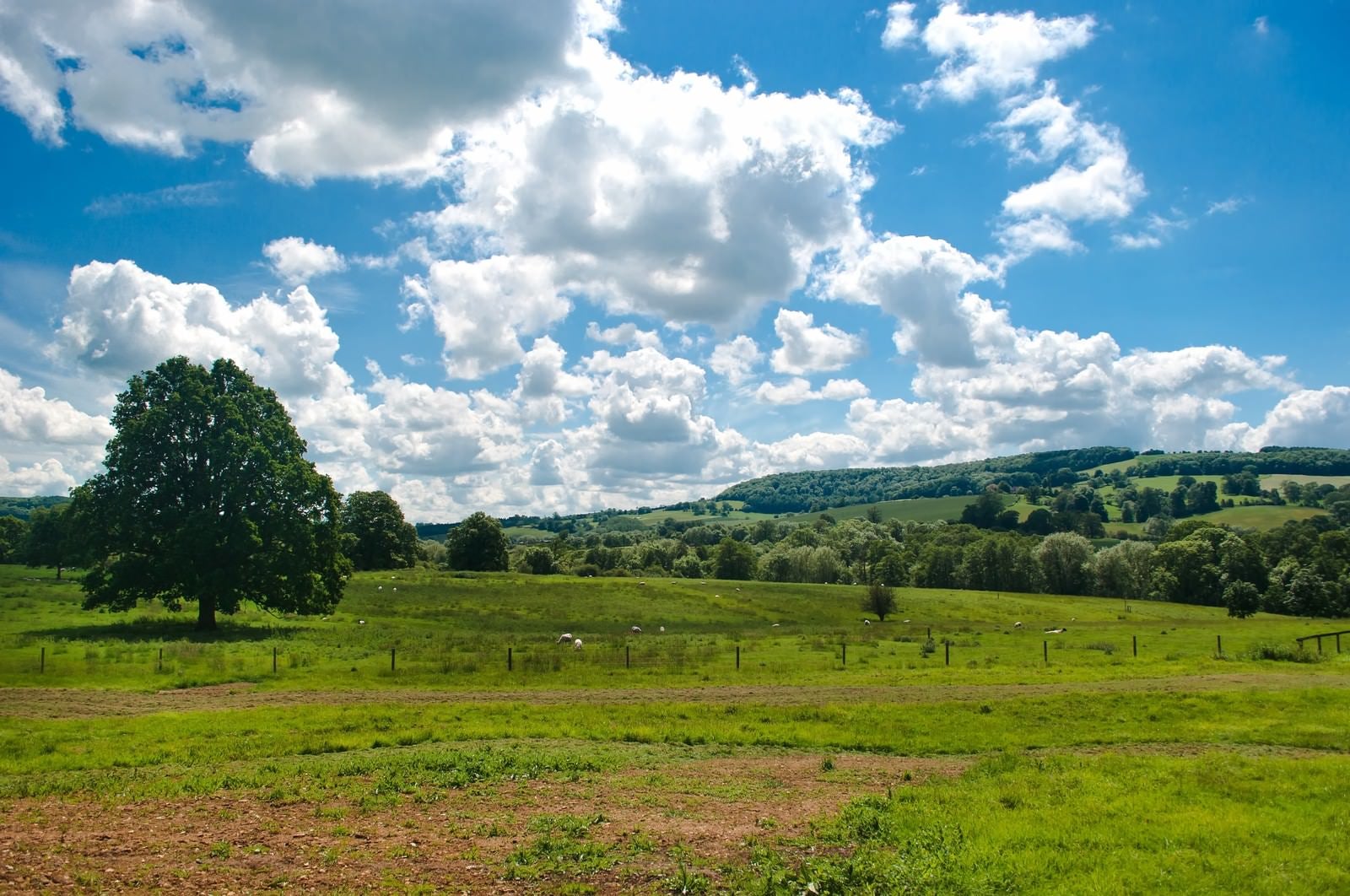 「スードリー城の牧場と青い空」の写真