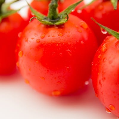 フレッシュな赤いミニトマトの写真