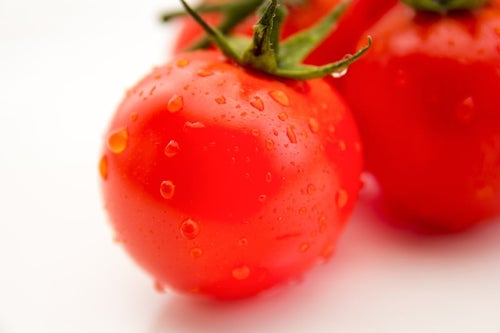 採れたてのミニトマトの写真