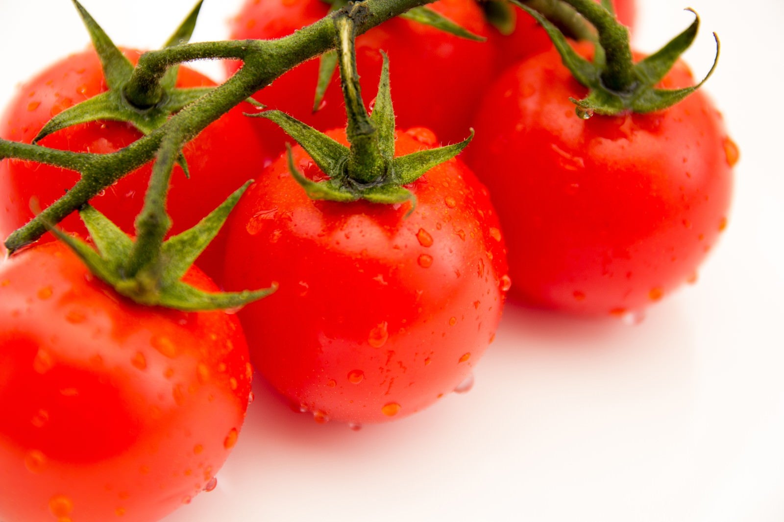 「真っ赤に熟したミニトマト」の写真