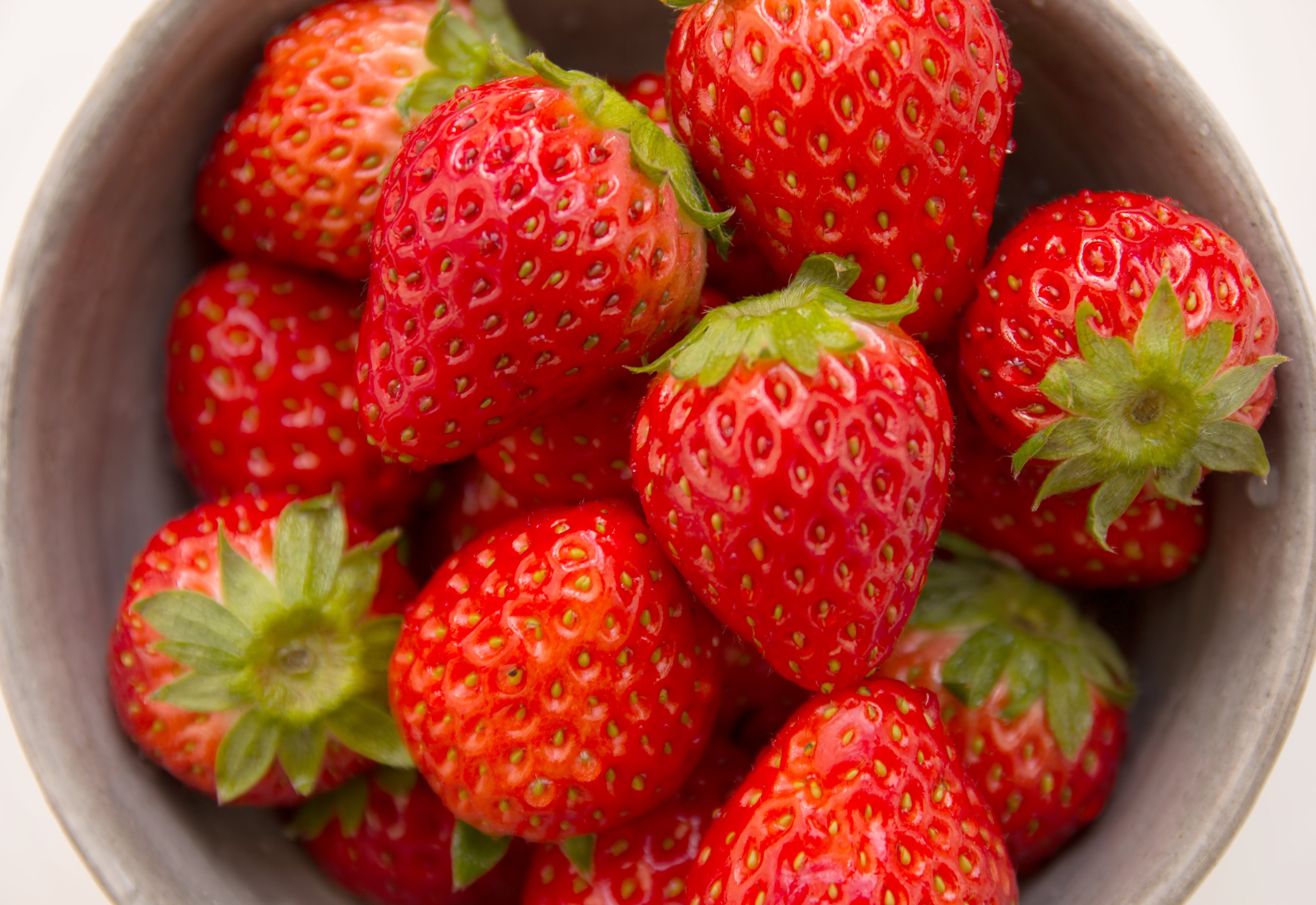 ELF85_utuwayamamori.jpg?&