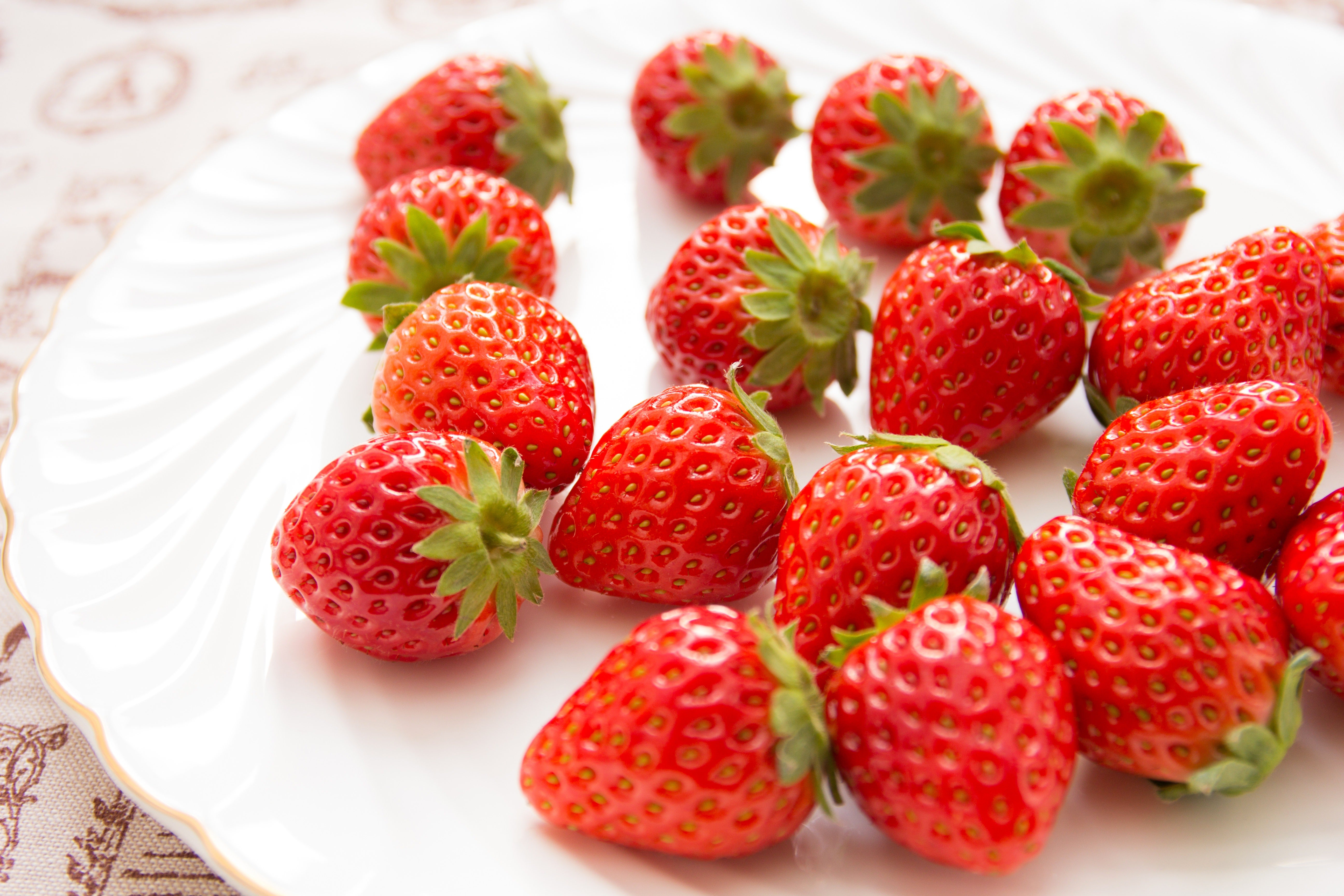 お皿に置かれたイチゴの無料の写真素材 - ID.4095｜フリー素材 ぱくたそ