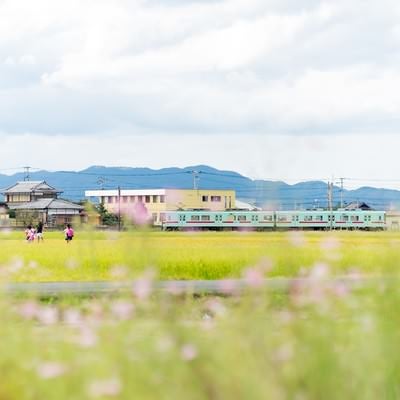 西鉄電車と田園風景（福岡県大刀洗町）の写真