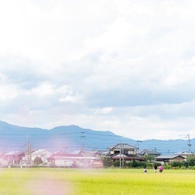 田んぼ道を下校する小学生の姿の写真