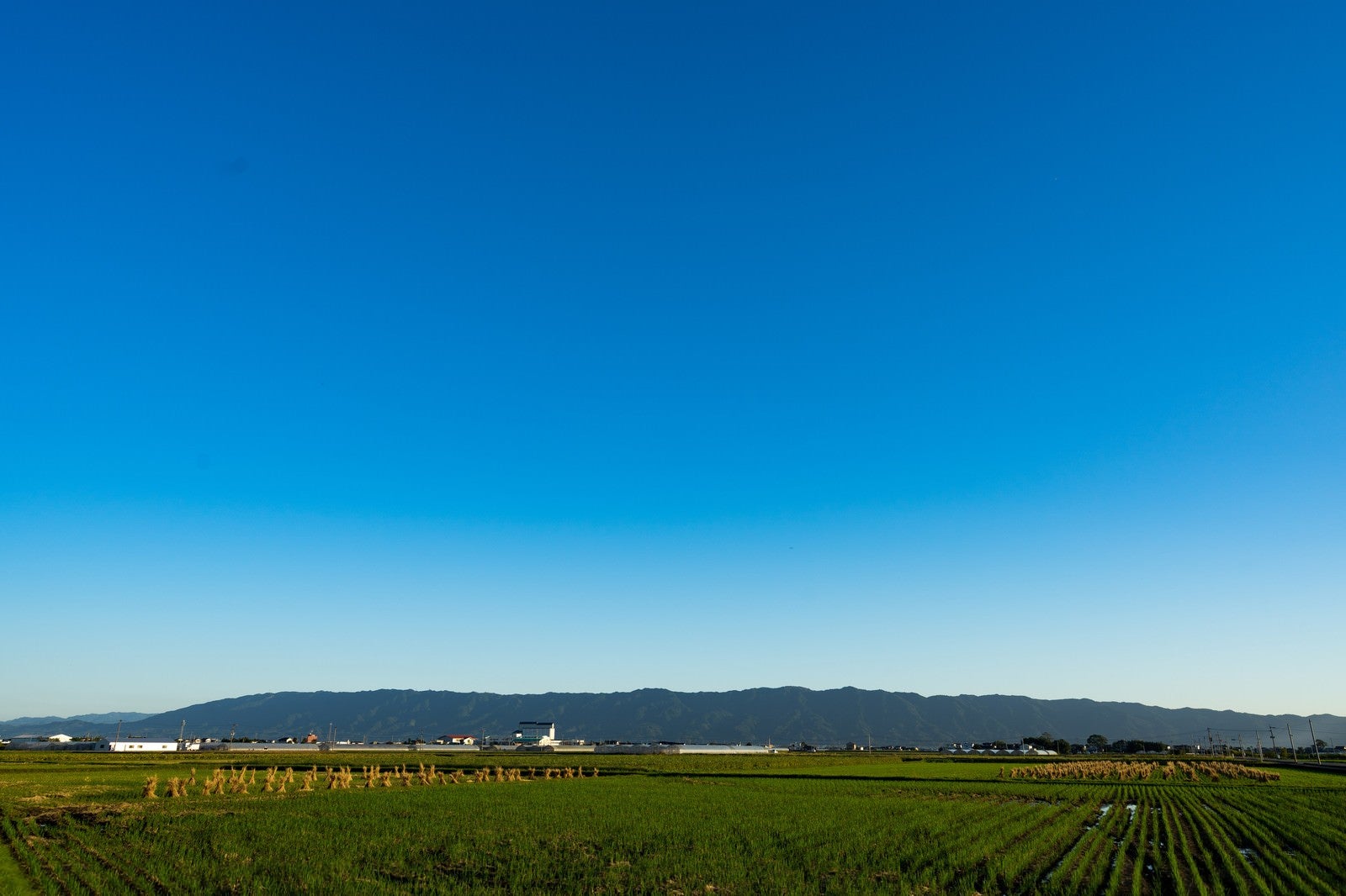 「澄んだ青空と大刀洗の農地筑後平野」の写真