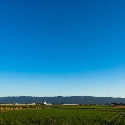 澄んだ青空と大刀洗の農地筑後平野の写真