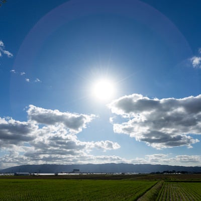 太陽と大刀洗の畑の写真