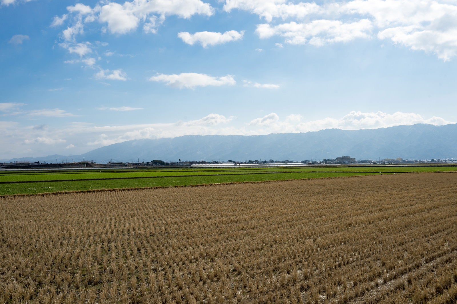 「刈終えた田んぼと大刀洗の平野」の写真