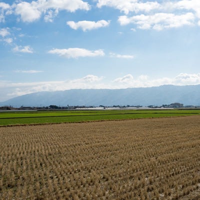 刈終えた田んぼと大刀洗の平野の写真