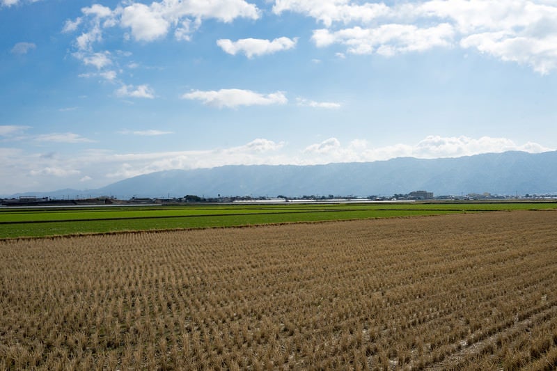 刈終えた田んぼと大刀洗の平野の写真