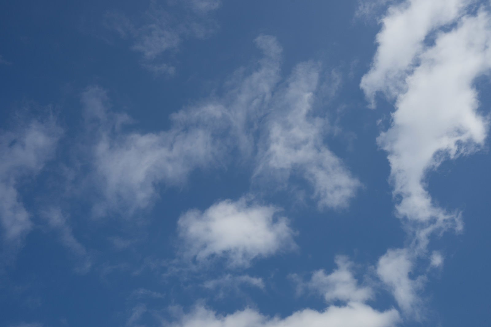 「青く晴れた空と雲」の写真