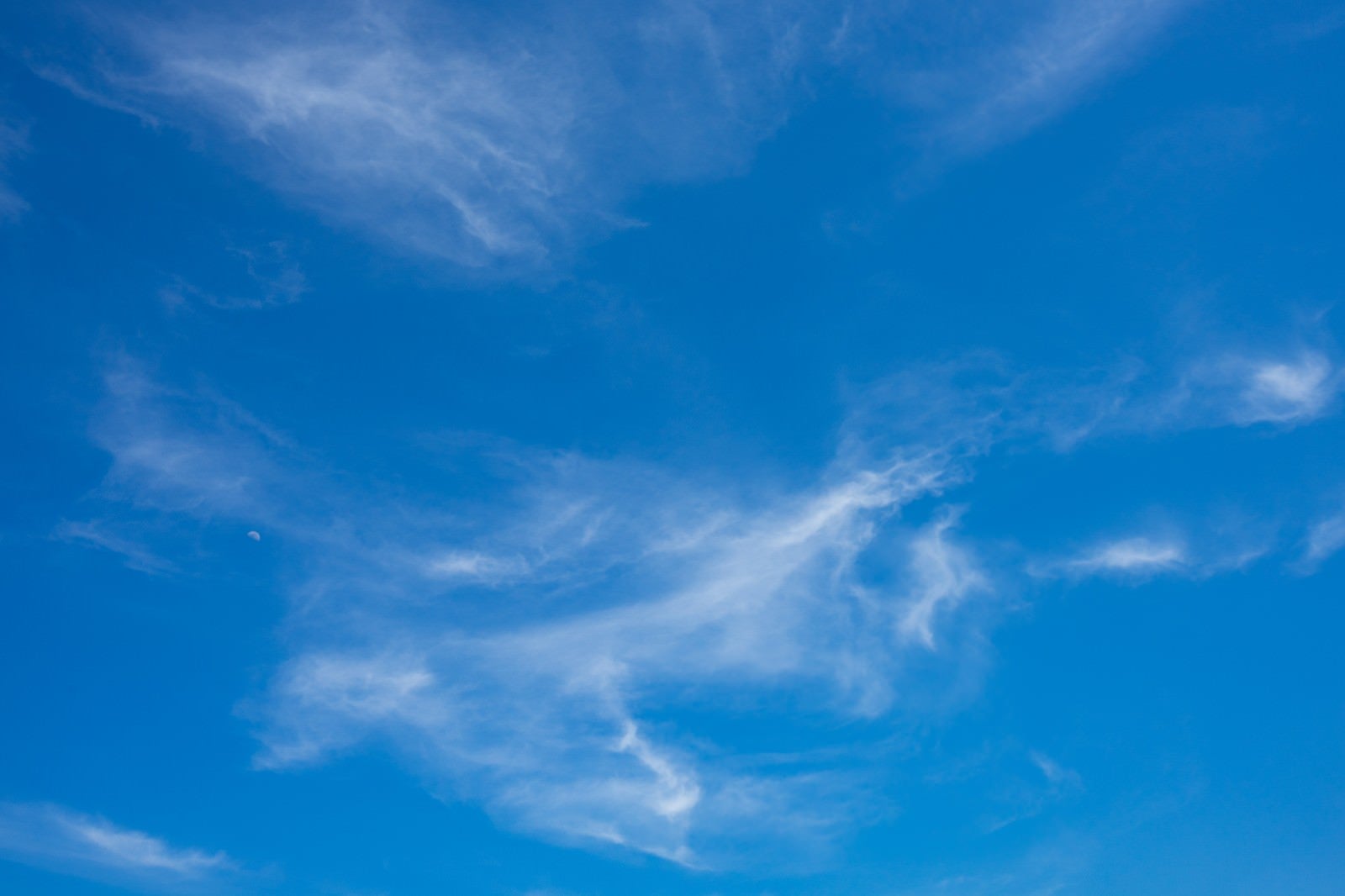 「うすいベールの雲」の写真