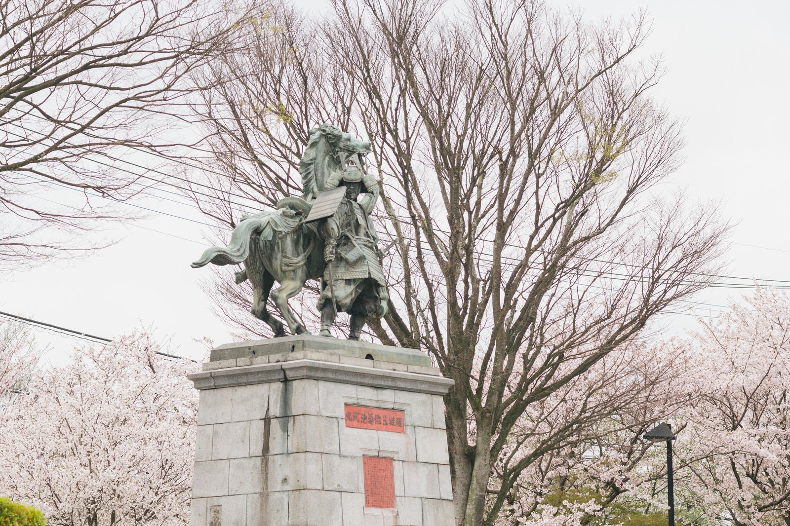 「大刀洗公園の菊池武光像と桜」の写真