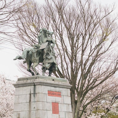 大刀洗公園の菊池武光像と桜の写真