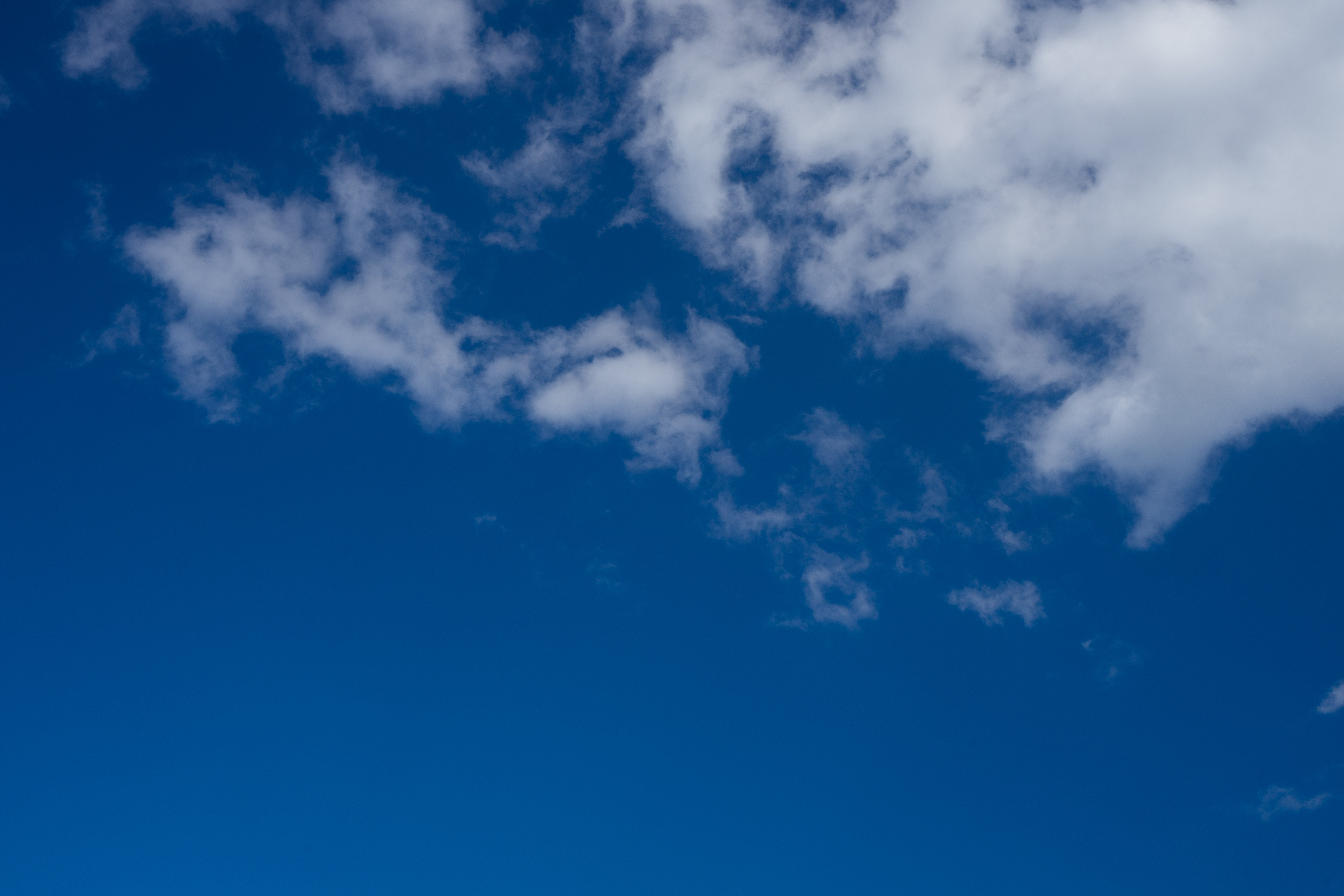 そらか 写真1本体のみ ¥16000 ELFASKYDSC07054.jpg?&download=1