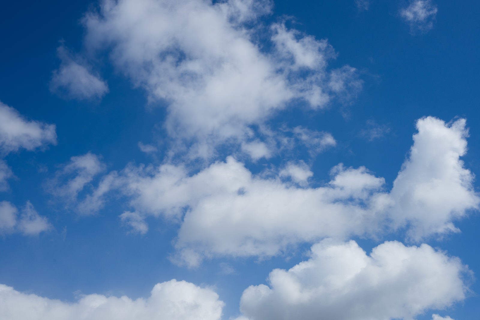 「青空とまばらな雲」の写真