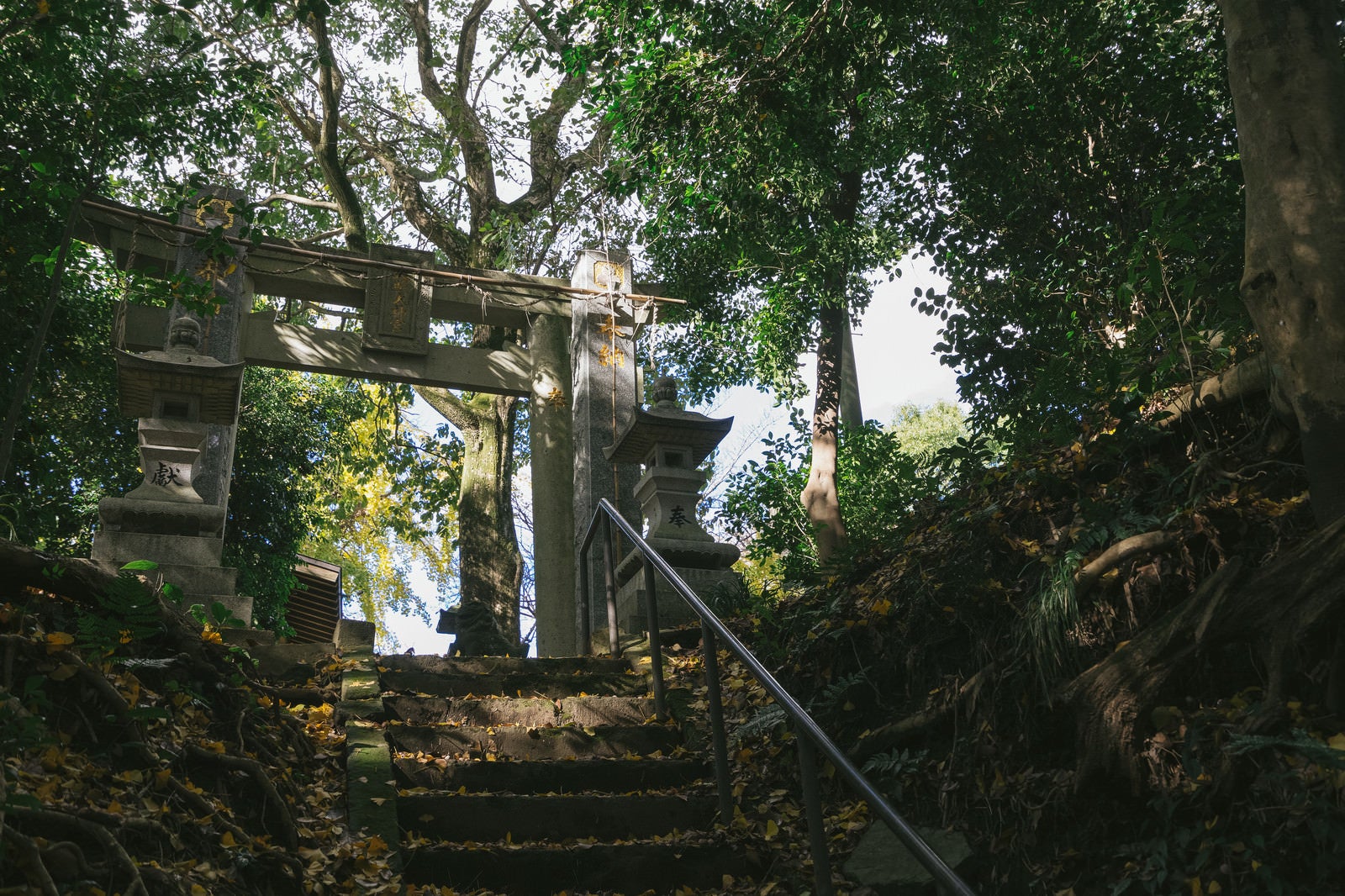 「福岡県大刀洗の甲条神社の鳥居」の写真