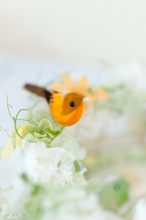 お花と小鳥ちゃんの写真