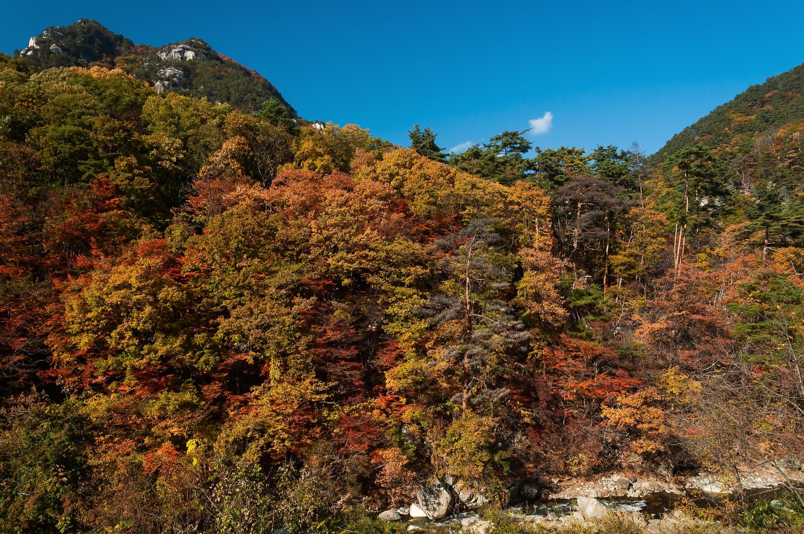 「秋の山」の写真