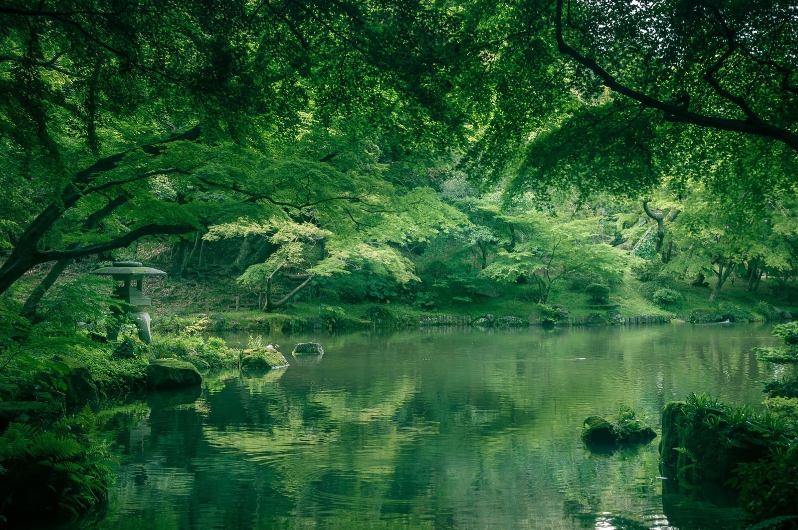 「成田山（竜智の池）」の写真