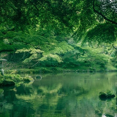 成田山（竜智の池）の写真