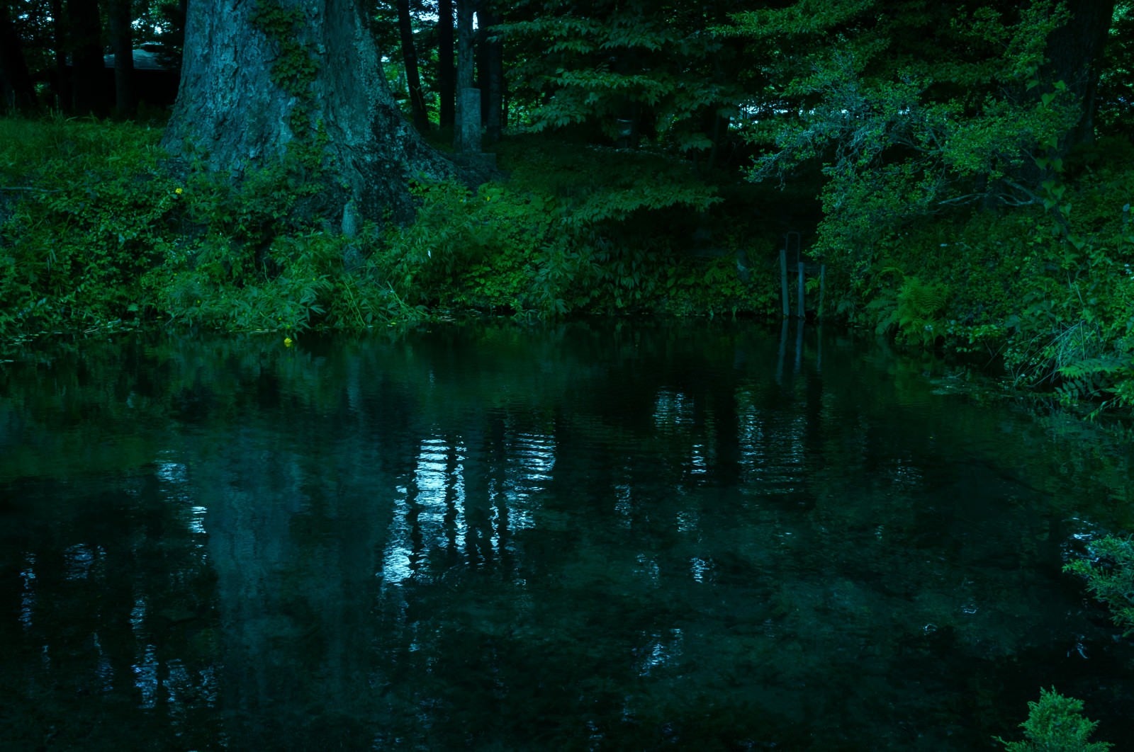 「底なし池」の写真